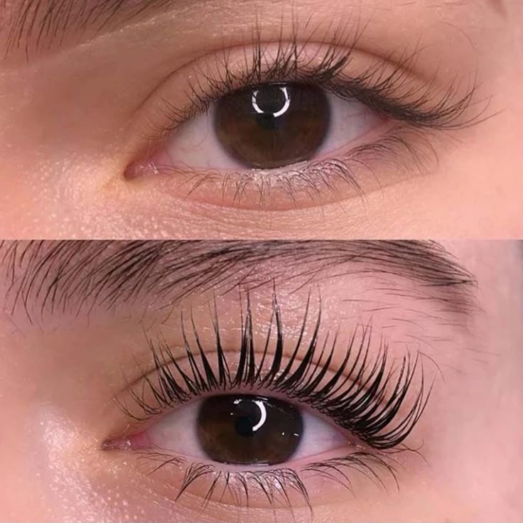 Lash Lift Kit